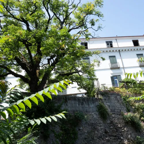 Casa Enzina-1