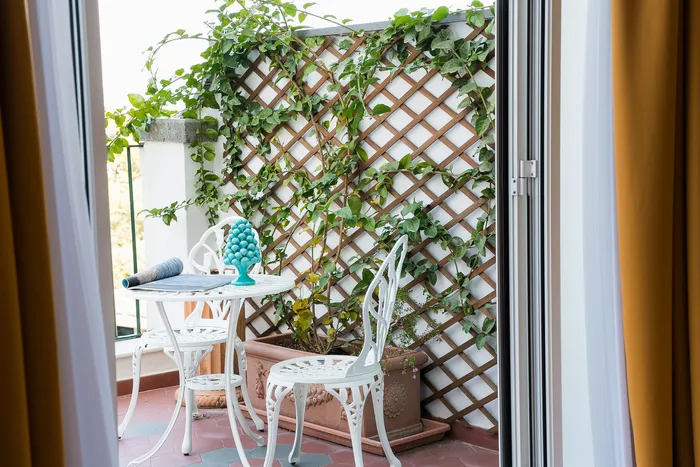 Deluxe with terrace-4